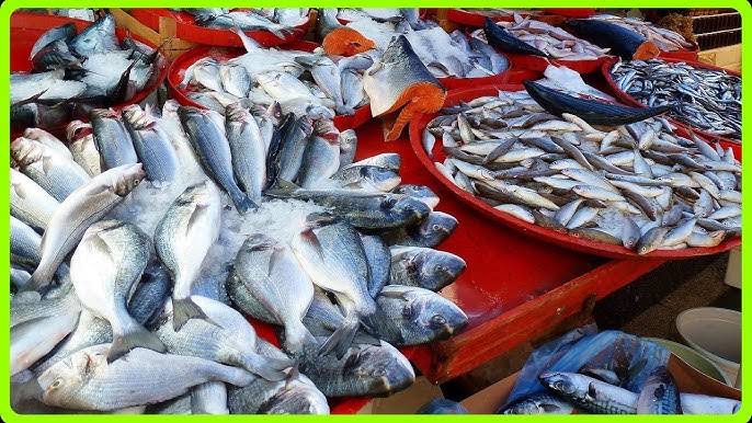 Digha Mohona Fish Market