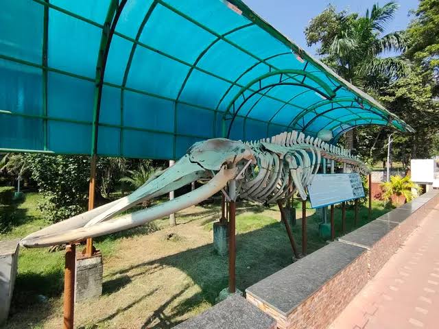 Digha Marine Aquarium